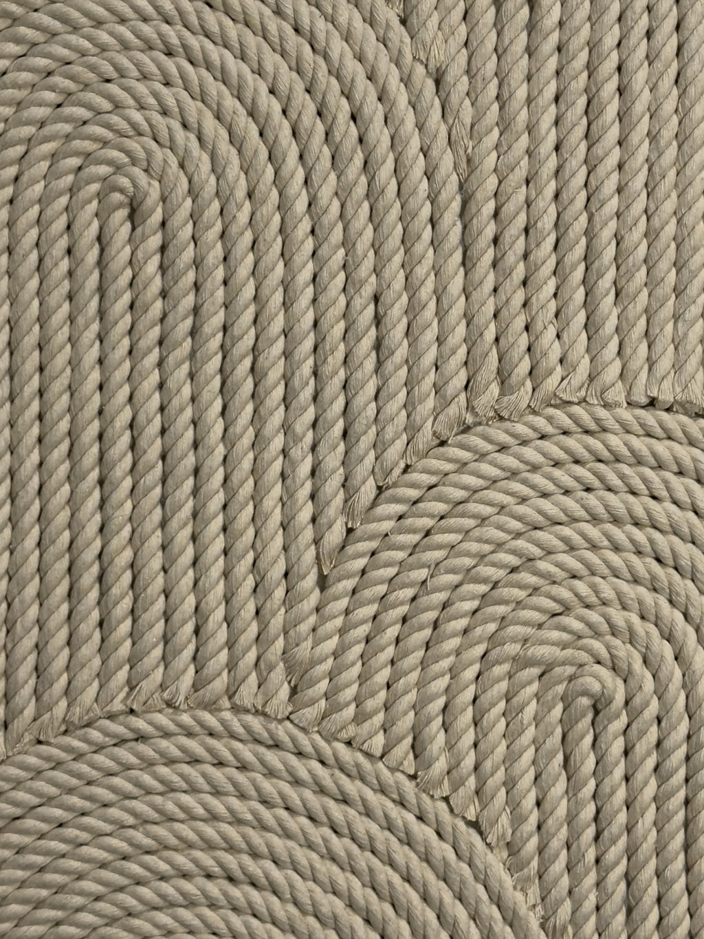 Clam No. 02