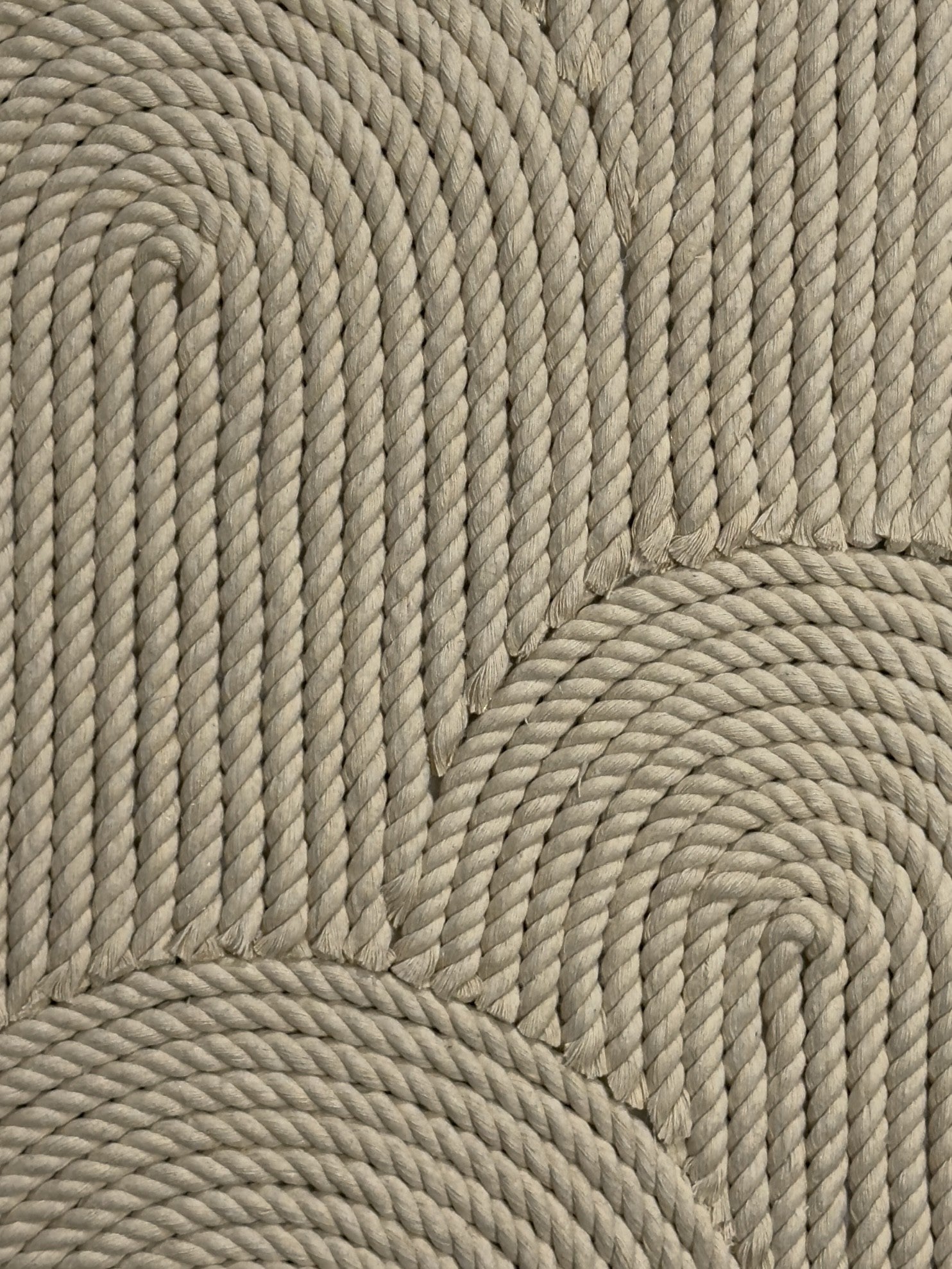 Clam No. 02