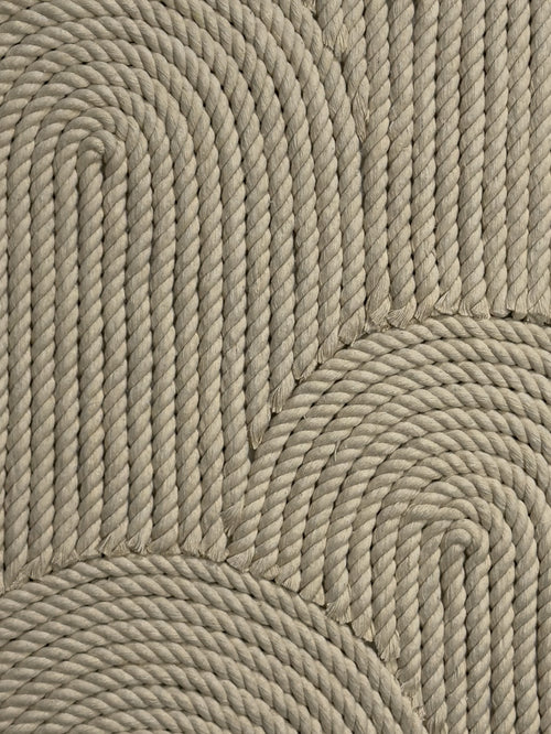 Clam No. 02